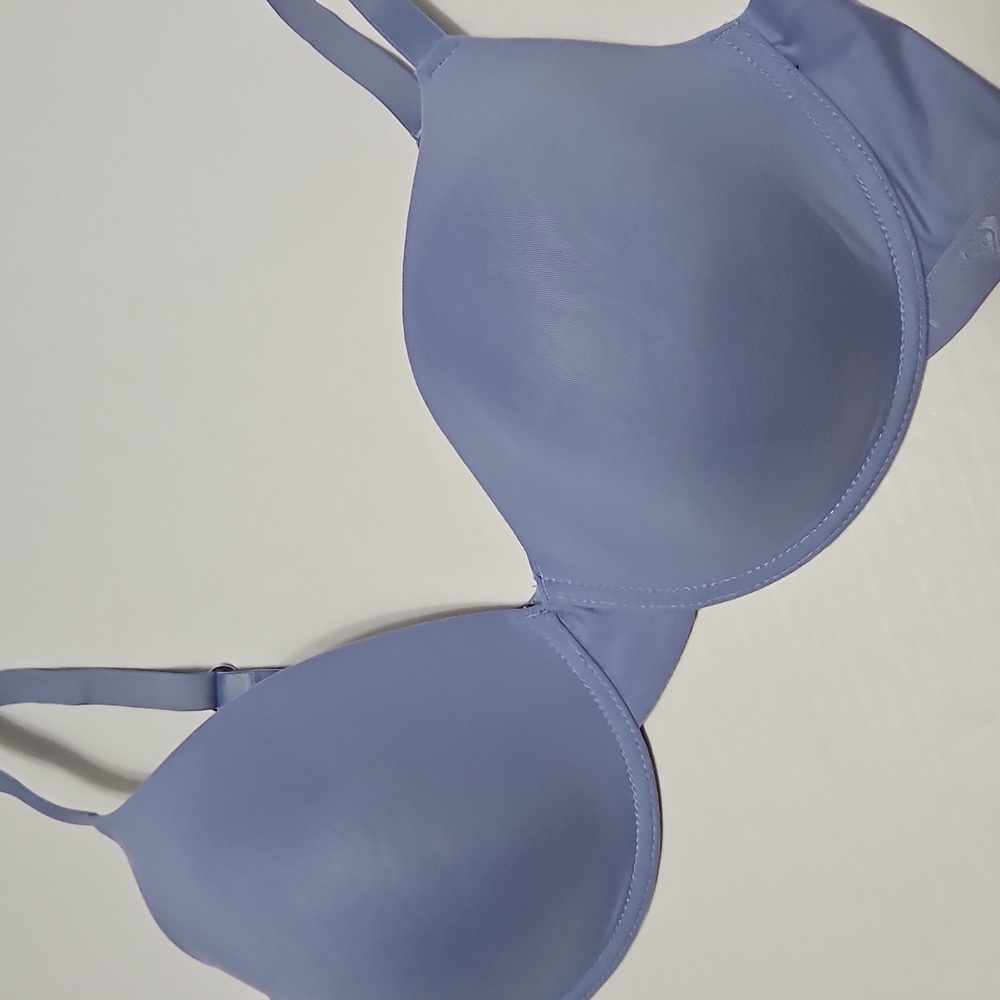 Roxy Women's Blue Underwire Padded Bra Size 42D